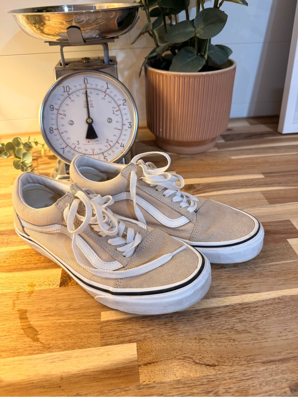 Vans unisex Beige and White Low-Top Skate Sneakers